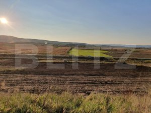 Teren de 28800MP(2.8ha). Pregatit pentru investitie!  - imagine 2