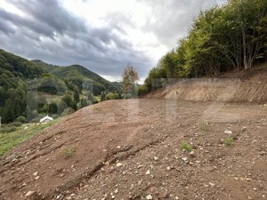 Teren intravilan 1,2 Ha, zona Bargau - imagine 6