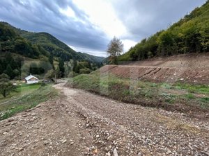 Teren intravilan 1,2 Ha, zona Bargau - imagine 5