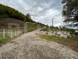 Teren intravilan 1,2 Ha, zona Bargau - imagine 3