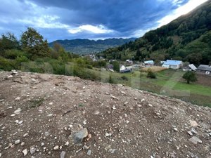 Teren intravilan 1,2 Ha, zona Bargau - imagine 7