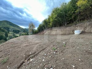 Teren intravilan 1,2 Ha, zona Bargau - imagine 2