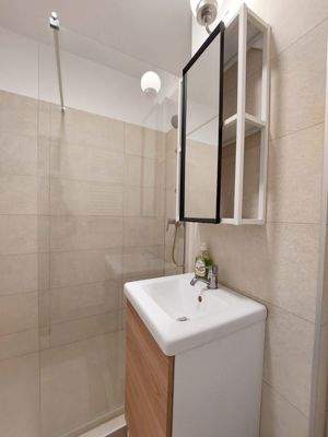 Inchiriere apartament 2 camere Piata Victoriei - Ion Mihalache - imagine 23