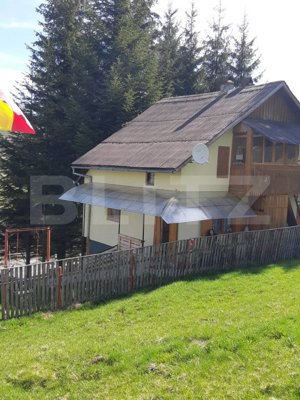 Cabana de vacanță în Piatra Fântânele + 3 arii teren - imagine 14