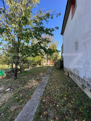 Cabană în Zona Viile Satu Mare - imagine 6