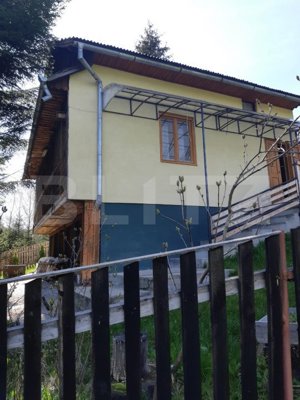 Cabana de vacanță în Piatra Fântânele + 3 arii teren - imagine 2