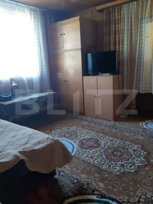 Cabana de vacanță în Piatra Fântânele + 3 arii teren - imagine 4