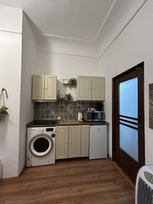 Apartament 1 camere 42 mp utili, etaj 1, Piata Unirii  PERFECT PENTRU INVESTIT  - imagine 6