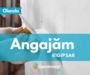 Rigipsar in Olanda