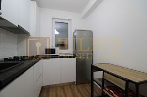 apartament 2 camere + OAZA de liniste si relaxare 80 de metri de curte  proprie - imagine 11