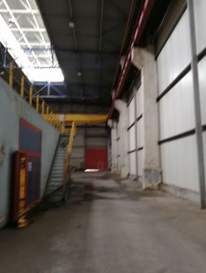 Birouri, spatiu industrial, hale Zona Libera ID 17096 - imagine 8