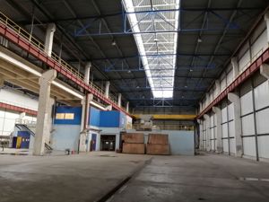 Birouri, spatiu industrial, hale Zona Libera ID 17096 - imagine 19