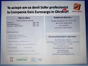 Soferi profesionisti 12 t Germania