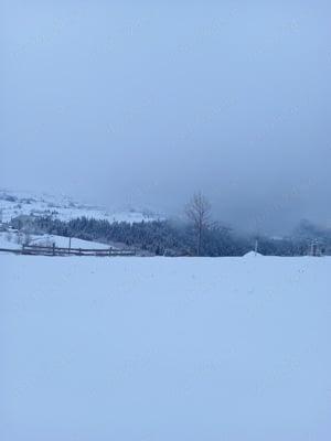 Cabana de inchiriat la Mărișel jud Cluj