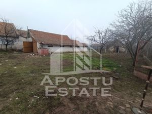 Casa 4 camere + anexe si teren 2788 mp cu livada,  Comlosu Mare! - imagine 13