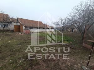 Casa 4 camere + anexe si teren 2788 mp cu livada,  Comlosu Mare! - imagine 15