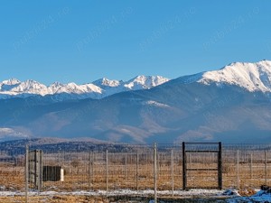 Teren Valea Avrigului (Avrig, Sibiu)  - imagine 5