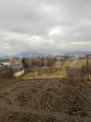 Teren intravilan de vânzare, 330.000 mp, zona strada Ghinzi,  Bistrița - imagine 3