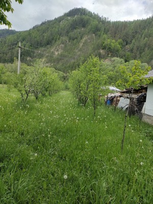 Vand apartament , parte a unei vile din loc . Pojorata - imagine 7