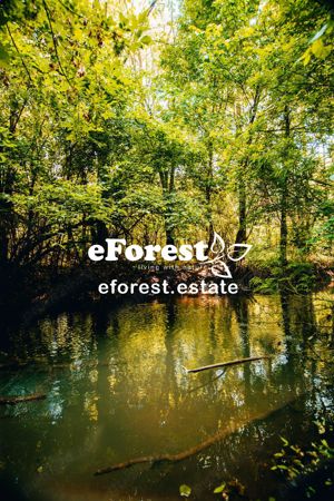 Crevedia, teren in cartier nou eForest, 720 mp