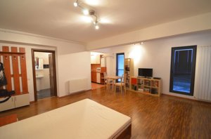 Studio, 50 mp, open space, centrala,  Damaroaia-Bucurestii Noi - imagine 2