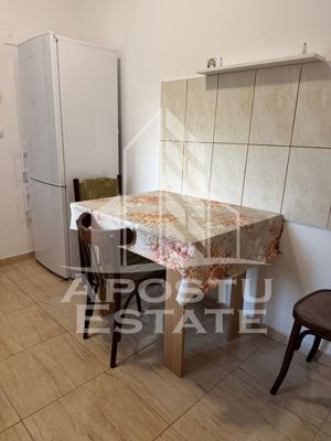 Se inchriaza apartament (penthouse), intr-o casa, zona C. Studentesc - imagine 16