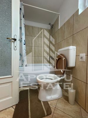 Se inchriaza apartament (penthouse), intr-o casa, zona C. Studentesc - imagine 19