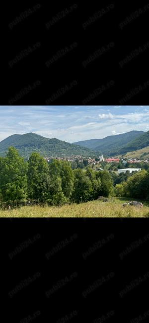 Teren de vanzare Valea Doftanei Treisteni 3600mp