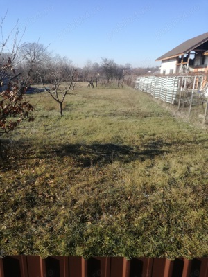 Vânzare teren intravilan Preajba Mare