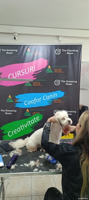 Curs coafor canin 