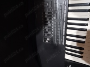 Orga korg pa3 in stare perfecta - imagine 3