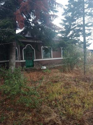 Teren intravilan Radovanu-Calarasi