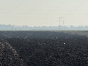 Vand teren arabil(agricol) in cojasca - imagine 6