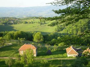 Casa, grajd, pivniță, casa din lemn cu teren 12000mp, apa, curent