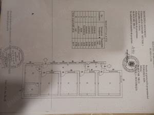 2 case de vanzare in Domenii. 246 mp teren, deschidere 10m - imagine 7