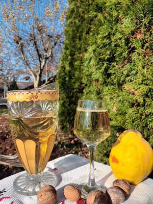 vin natural din struguri 