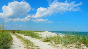 Plaja Vadu primul lot la mare - imagine 4