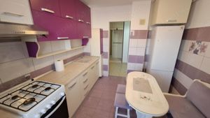 Apartament 2 camere D, , in Nicolina LIDL, NOU RENOVAT - imagine 2