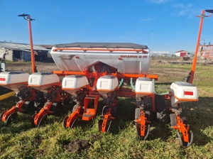 Semanatoare Maxima 2