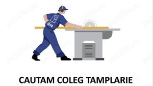 Angajăm ajutor tamplar sau tâmplar cu experiența