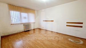 Vand apartament 2 camere decomandate in Cetate - imagine 2