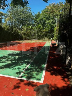 Proprietate Exclusivistă: 2 Case, Piscină și Teren de Tenis pe 3833 mp - imagine 2