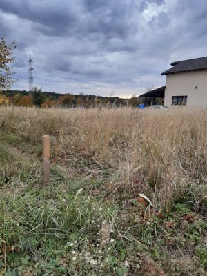 Proprietar, vând teren, Zona pădurea Verde - Lac Dumbrăvița - imagine 9