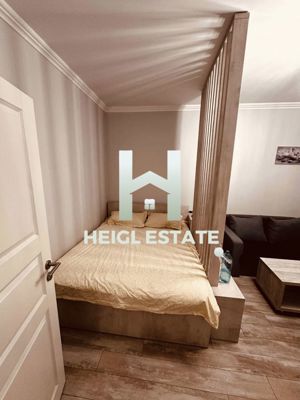 Apartament cu 1 camera și curte proprie în Giroc - imagine 2