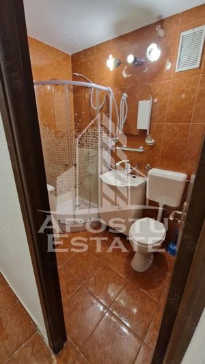 Apartament 1 camera, Mobilat, Utilat, Lipovei - imagine 4