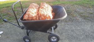 Roaba, cuva plastic, 4 roti, DBW 002, Noua - imagine 4