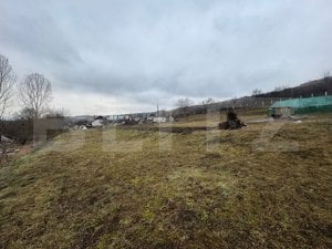 Oportunintate de investitie cu multiple avantaje, 7800 m² teren, HERINA - imagine 11