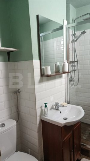 Apartament 1 camera, 36 mp, etaj 1, cu terasa, zona Piata Petru Rares - imagine 5