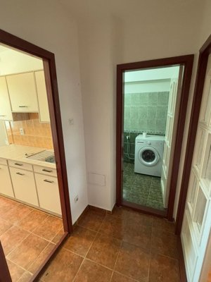 Închiriere apartament 1 cameră, etaj 2, Terezian - imagine 4