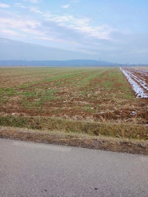 Vând 2 terenuri in Vadu Crișului